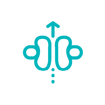 ICONS 6-100